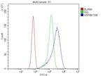 HSPB8 Antibody in Flow Cytometry (Flow)