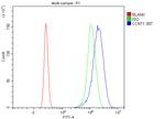 Cyclin T1 Antibody in Flow Cytometry (Flow)
