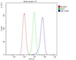 AIP Antibody in Flow Cytometry (Flow)