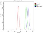 SHMT1 Antibody in Flow Cytometry (Flow)