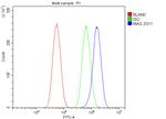 MAG Antibody in Flow Cytometry (Flow)
