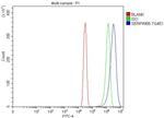 Maspin Antibody in Flow Cytometry (Flow)
