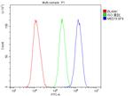 PCQAP Antibody in Flow Cytometry (Flow)