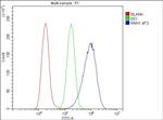 RNH1 Antibody in Flow Cytometry (Flow)