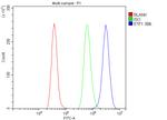 eRF1 Antibody in Flow Cytometry (Flow)