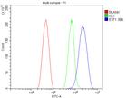 eRF1 Antibody in Flow Cytometry (Flow)