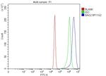 BAG2 Antibody in Flow Cytometry (Flow)