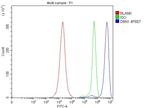 Drebrin Antibody in Flow Cytometry (Flow)