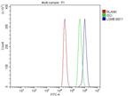 LSM8 Antibody in Flow Cytometry (Flow)