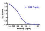 SARS-CoV-2 Spike Protein S1 Antibody in ELISA (ELISA)