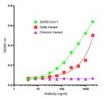 SARS-CoV-2 Spike Protein S2 Antibody in ELISA (ELISA)