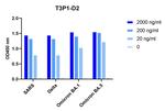 SARS-CoV-2 Spike (trimer) Protein Antibody in ELISA (ELISA)