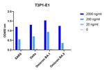 SARS-CoV-2 Spike (trimer) Protein Antibody in ELISA (ELISA)