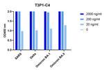 SARS-CoV-2 Spike (trimer) Protein Antibody in ELISA (ELISA)