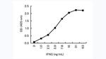 IFN gamma Antibody in ELISA (ELISA)