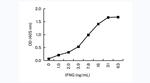 IFN gamma Antibody in ELISA (ELISA)