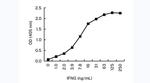 IFN gamma Antibody in ELISA (ELISA)