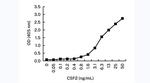 GM-CSF Monoclonal Antibody (4C5)