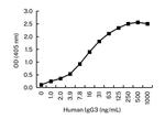 Human IgG3 Antibody in ELISA (ELISA)