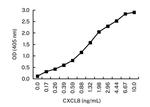 IL-8 (CXCL8) Monoclonal Antibody (KT212)