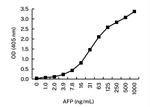 AFP Monoclonal Antibody (KT137)