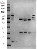 Triazophos Monoclonal Antibody (6D5)