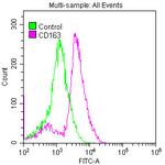 CD163 Antibody in Flow Cytometry (Flow)