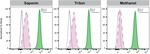 Mgea5 Antibody in Flow Cytometry (Flow)