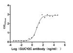 GUCY2C Antibody in ELISA (ELISA)