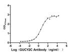 GUCY2C Antibody in ELISA (ELISA)