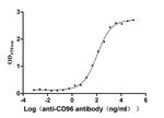 CD96 Recombinant Human Monoclonal Antibody (4A4)