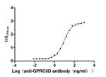 GPRC5D Recombinant Human Monoclonal Antibody (3D4)
