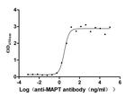 Tau Recombinant Human Monoclonal Antibody (8C2)