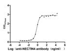 Nectin 4 Recombinant Human Monoclonal Antibody (6D3)