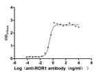 ROR1 Antibody in ELISA (ELISA)