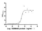 CD100 Antibody in ELISA (ELISA)
