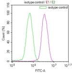 PKN2 Antibody in Flow Cytometry (Flow)