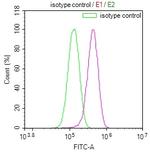 USP24 Antibody in Flow Cytometry (Flow)