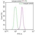 MAS1L Antibody in Flow Cytometry (Flow)