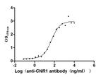 Cannabinoid Receptor 1 Recombinant Human Monoclonal Antibody (2A1)