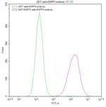 CD203c Antibody in Flow Cytometry (Flow)