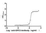 Glypican 3 Recombinant Human Monoclonal Antibody (4C3)