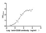 CD20 Antibody in ELISA (ELISA)