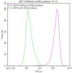 Claudin 6/9 Recombinant Human Monoclonal Antibody (9H8)
