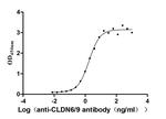 Claudin 6/9 Antibody in ELISA (ELISA)