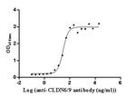 Claudin 6/9 Antibody in ELISA (ELISA)