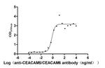 CEACAM5/CEACAM6 Recombinant Human Monoclonal Antibody (11A1)