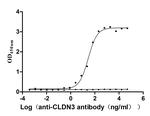 Claudin 3 Recombinant Human Monoclonal Antibody (12B2)
