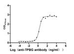 5T4 Recombinant Human Monoclonal Antibody (13C3)