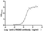 LY6G6D Antibody in ELISA (ELISA)